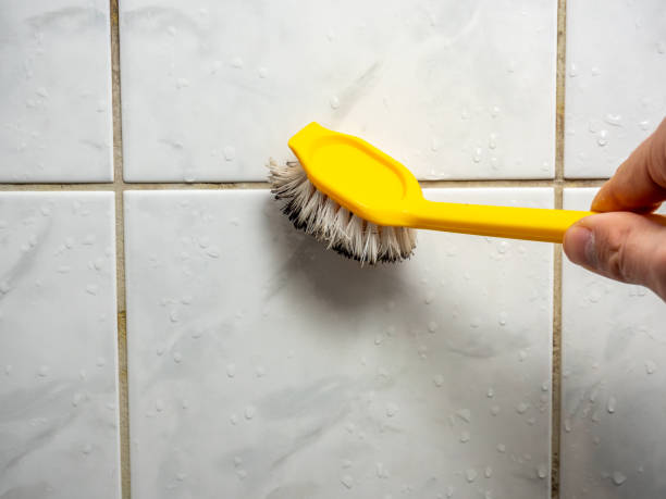 Best Mold Damage Repair  in Delano, CA