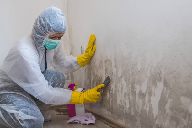 Best Attic Mold Removal  in Delano, CA