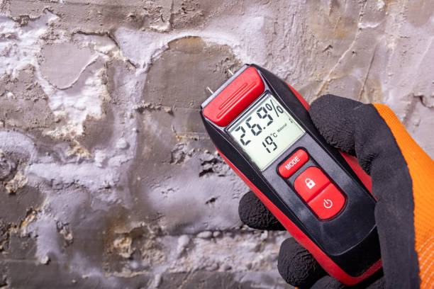 Certified Mold Removal in Delano, CA