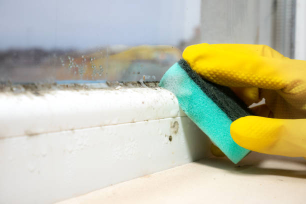 Best Mold Testing  in Delano, CA